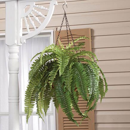 Fully Assembled Fern Hanging Basket by OakRidge™-359080