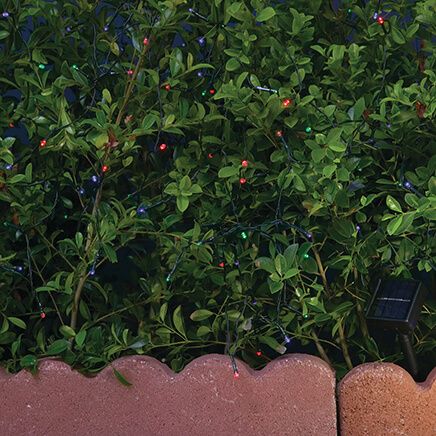 Solar String Lights-359380