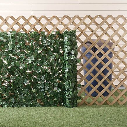 Roll Up Fence Ivy-359831