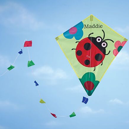 Personalized Children's Ladybug Kite-365662
