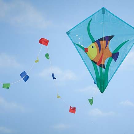 Children's Fish Kite-365720