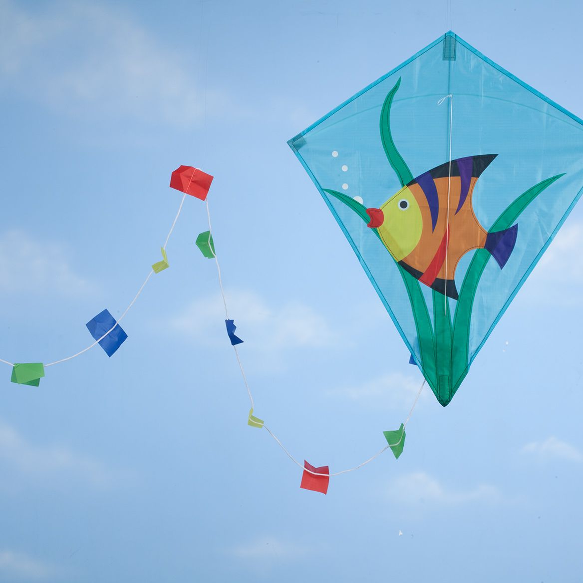 Children's Fish Kite + '-' + 365720