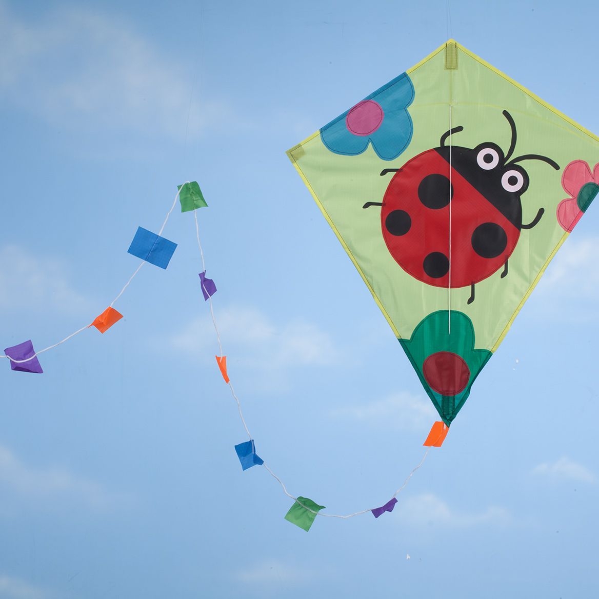 Ladybug Kite + '-' + 365721