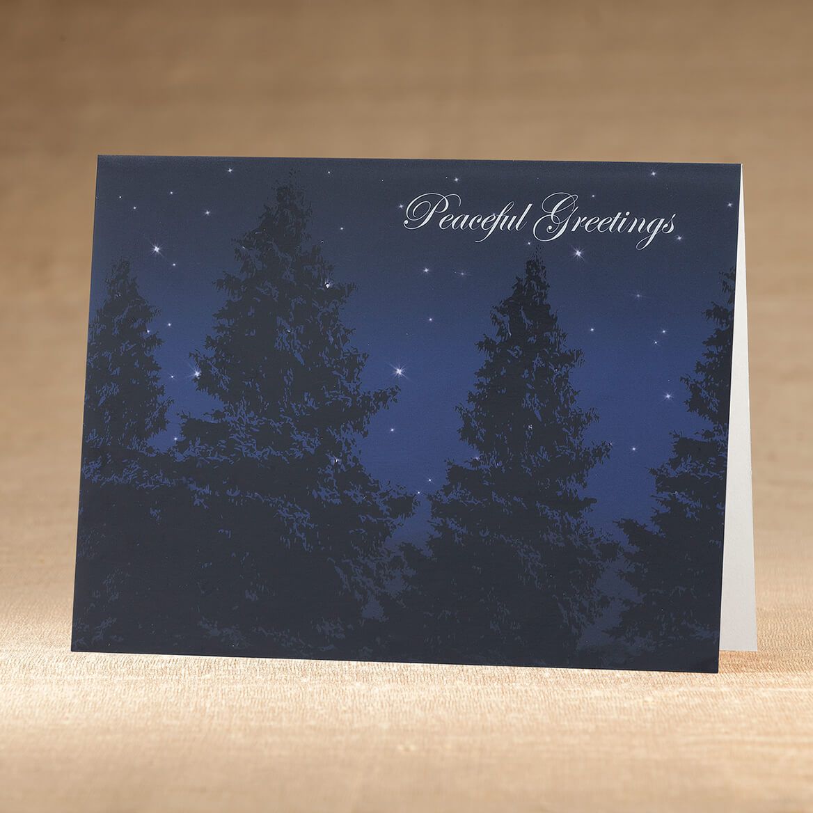Peaceful Evening Christmas Card Set of 18 + '-' + 366418
