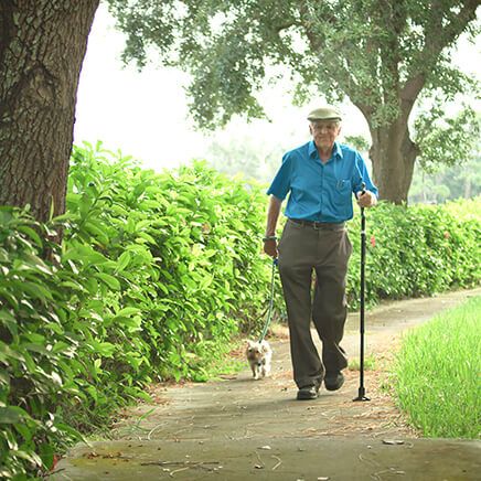 As Seen on TV Campbell Posture Cane-368020