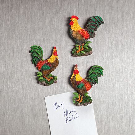 Rooster Kitchen Magnets by Chefs Pride™, Set of 3-370748
