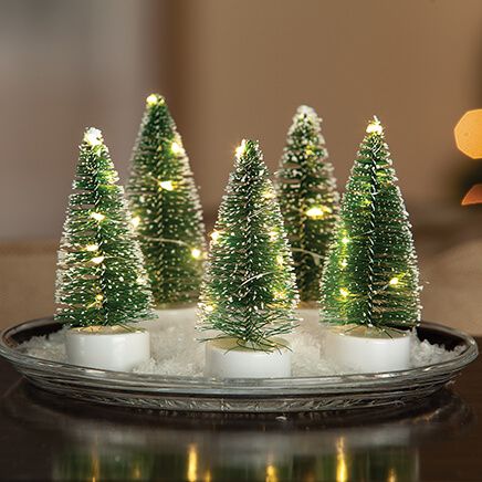 Light-Up Mini Bottlebrush Trees, Set of 5-371862