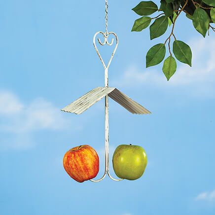 Double Hook Fruit Feeder-372921