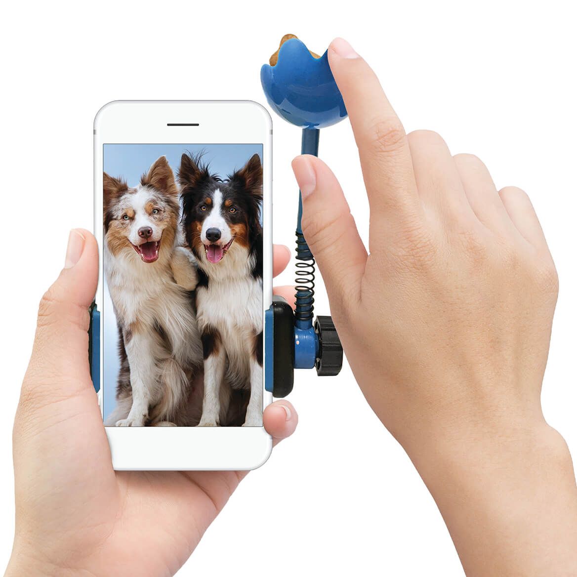 Picture This Treat Launchers, Set of 2 + '-' + 373854