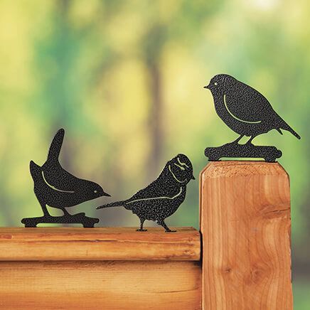 Bird Fence Toppers, Set of 3 by Fox River™ Creations-374835