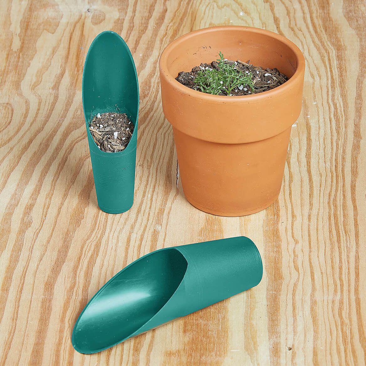 Soil Scoops, Set of 2 + '-' + 374894