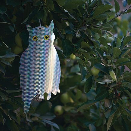 Guard Owl with Bells-375247