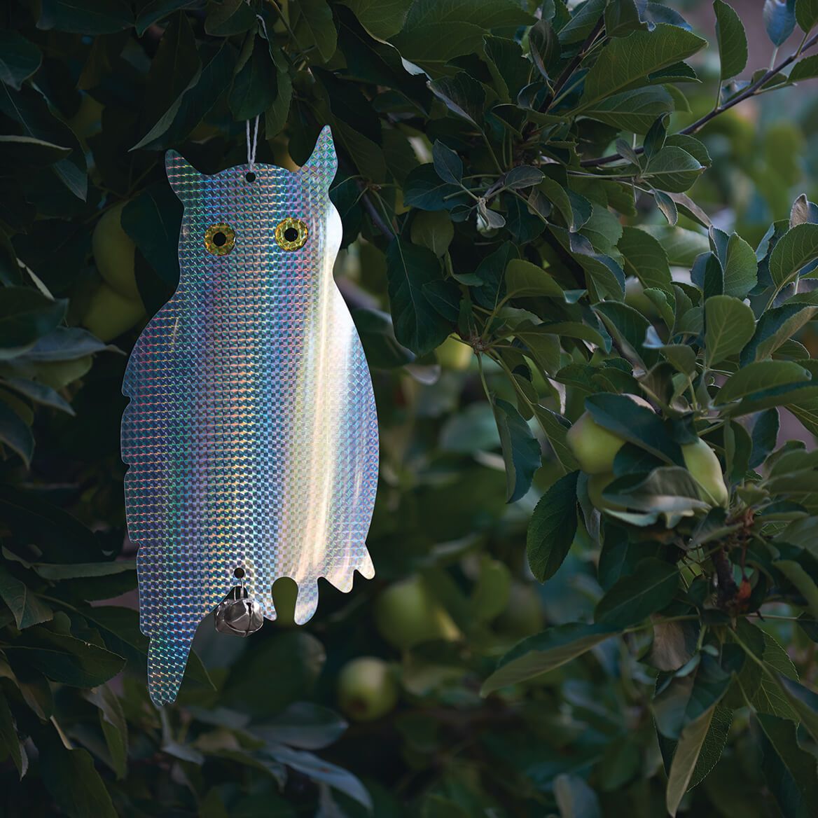 Guard Owl with Bells + '-' + 375247