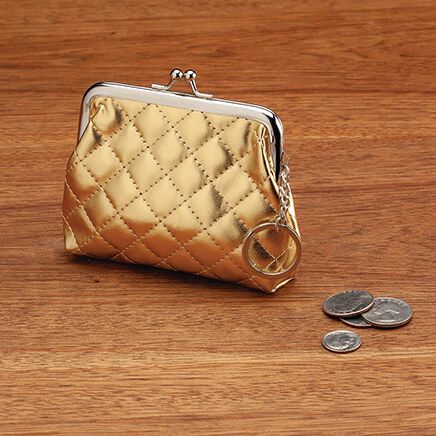 Metallic Coin Purse-375466
