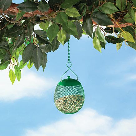 View product details for Seed Ball
