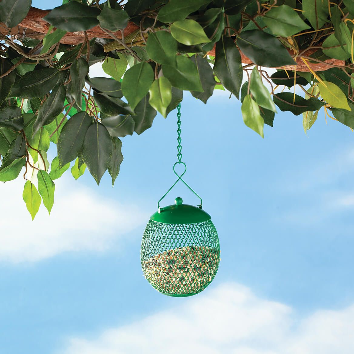 Seed Ball