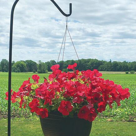 Invisa-Hanger™-376654