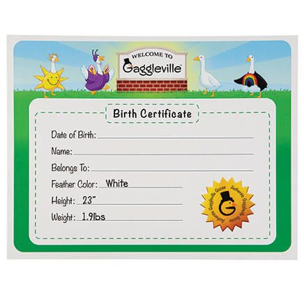 Gaggleville® Large Goose Birth Certificate-377081