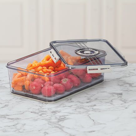 Ever Fresh Container with Date Marker by Home Marketplace-377578