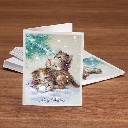 Non-Personalized Wonder and Joy Christmas Cards, Set of 20-377671