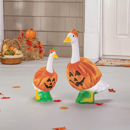 Pumpkin Duo Goose, Baby and Outfits Bundle by Gaggleville®-378174