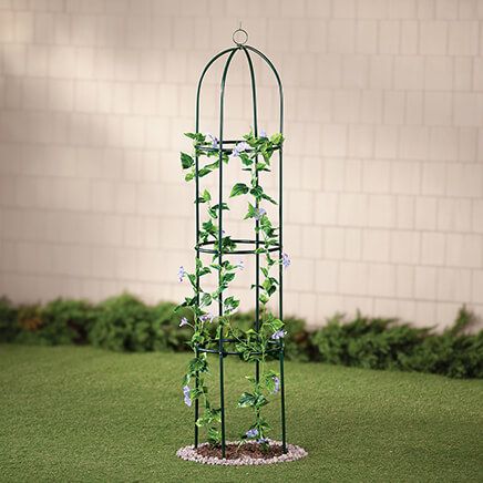 Garden Plant Trellis-378294