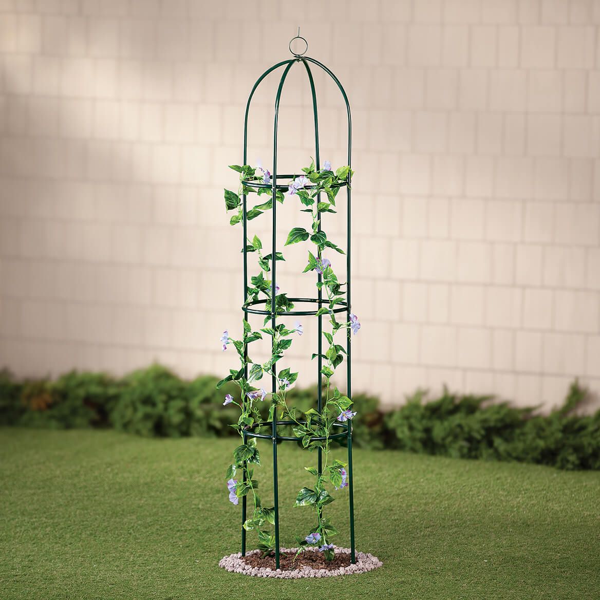 Garden Plant Trellis + '-' + 378294