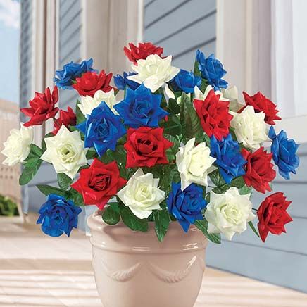 Patriotic Rose Bushes, Set of 3-379539