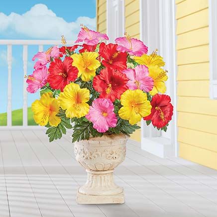 Hibiscus Bushes, Set of 3-379575