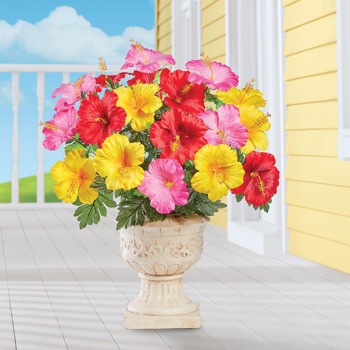 Hibiscus Bushes, Set of 3 + '-' + 379575