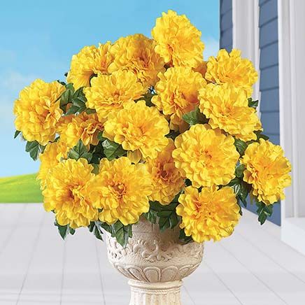 Set of 3 Zinnia Bushes-379597