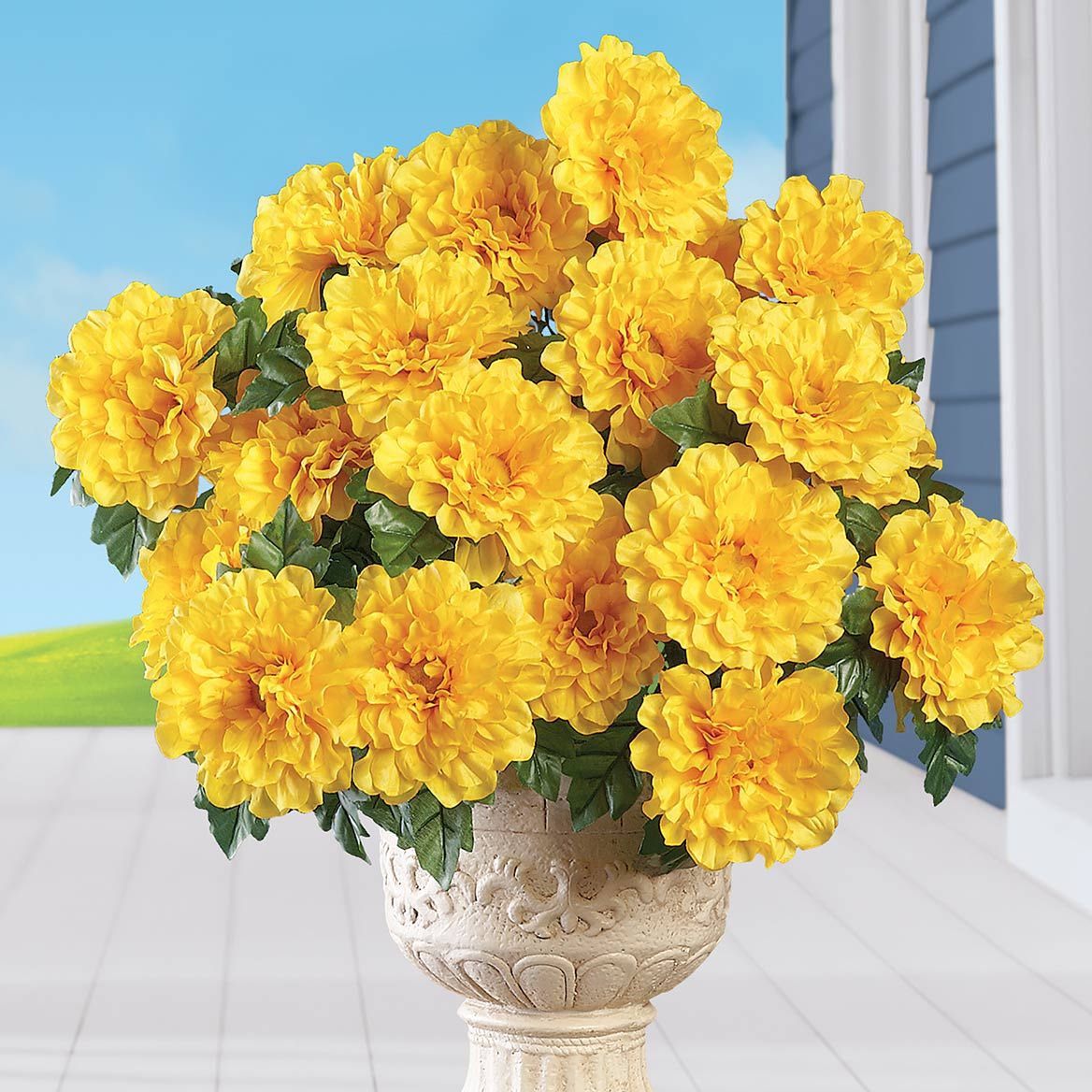 Set of 3 Zinnia Bushes + '-' + 379597