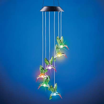 Solar Color Changing Hummingbird-379619