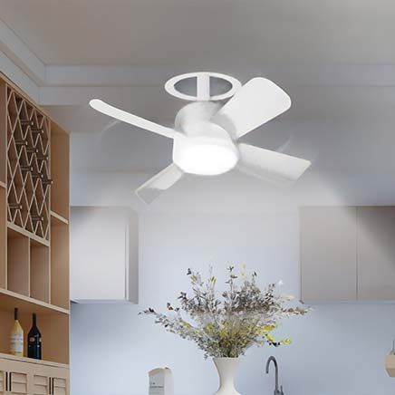 Socket Fanlight™-379648