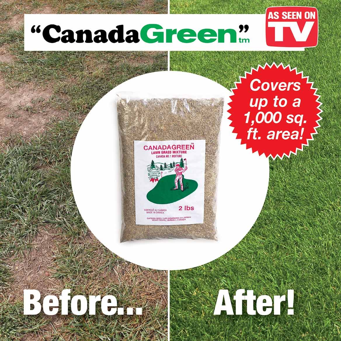 Canada Green Grass Seed 2 Lbs. + '-' + 379673