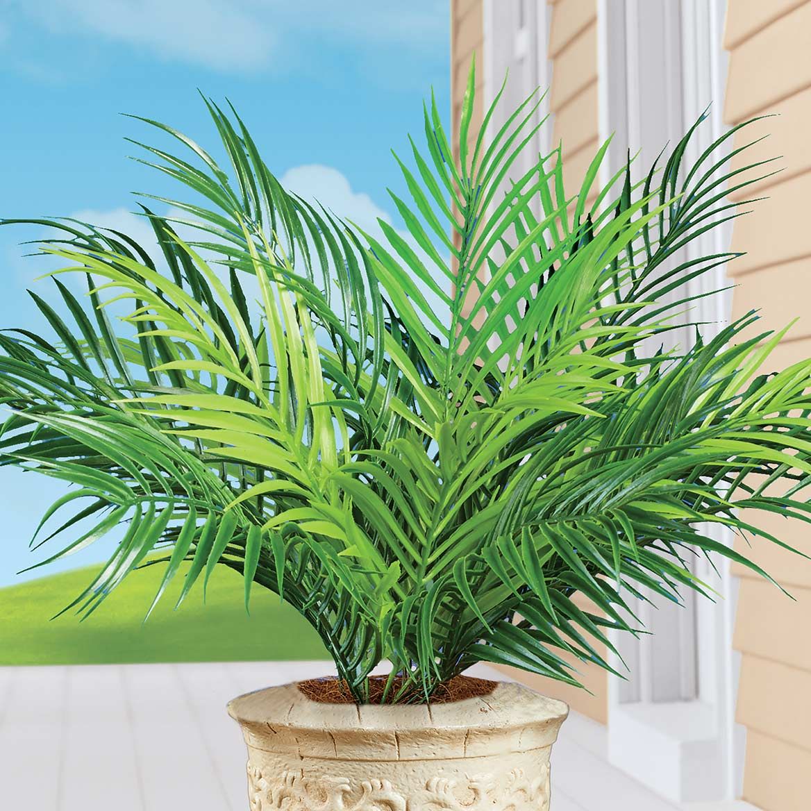 Palm Bushes, Set of 2 + '-' + 379715
