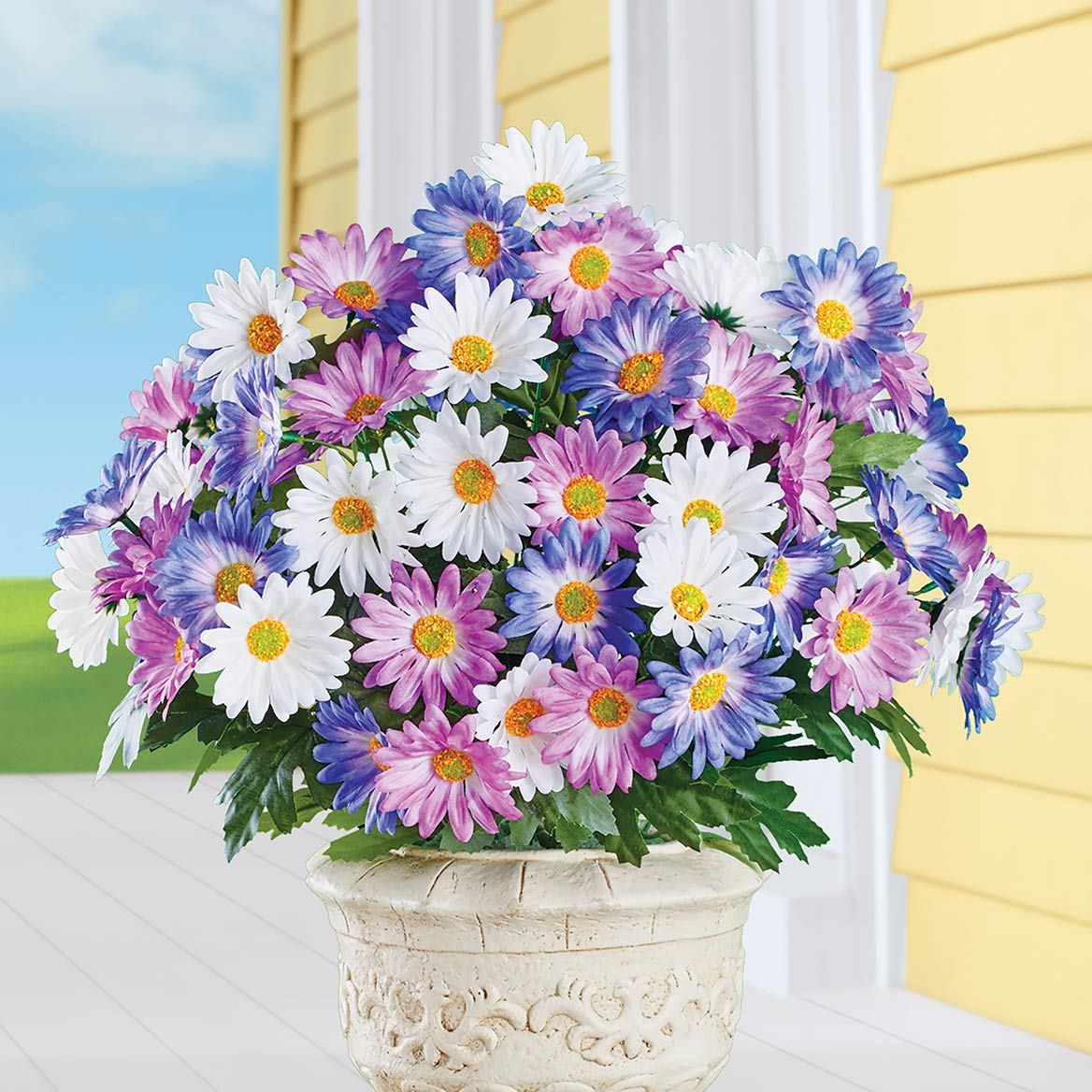 Grecian Windflower Bushes, Set 3 + '-' + 379718
