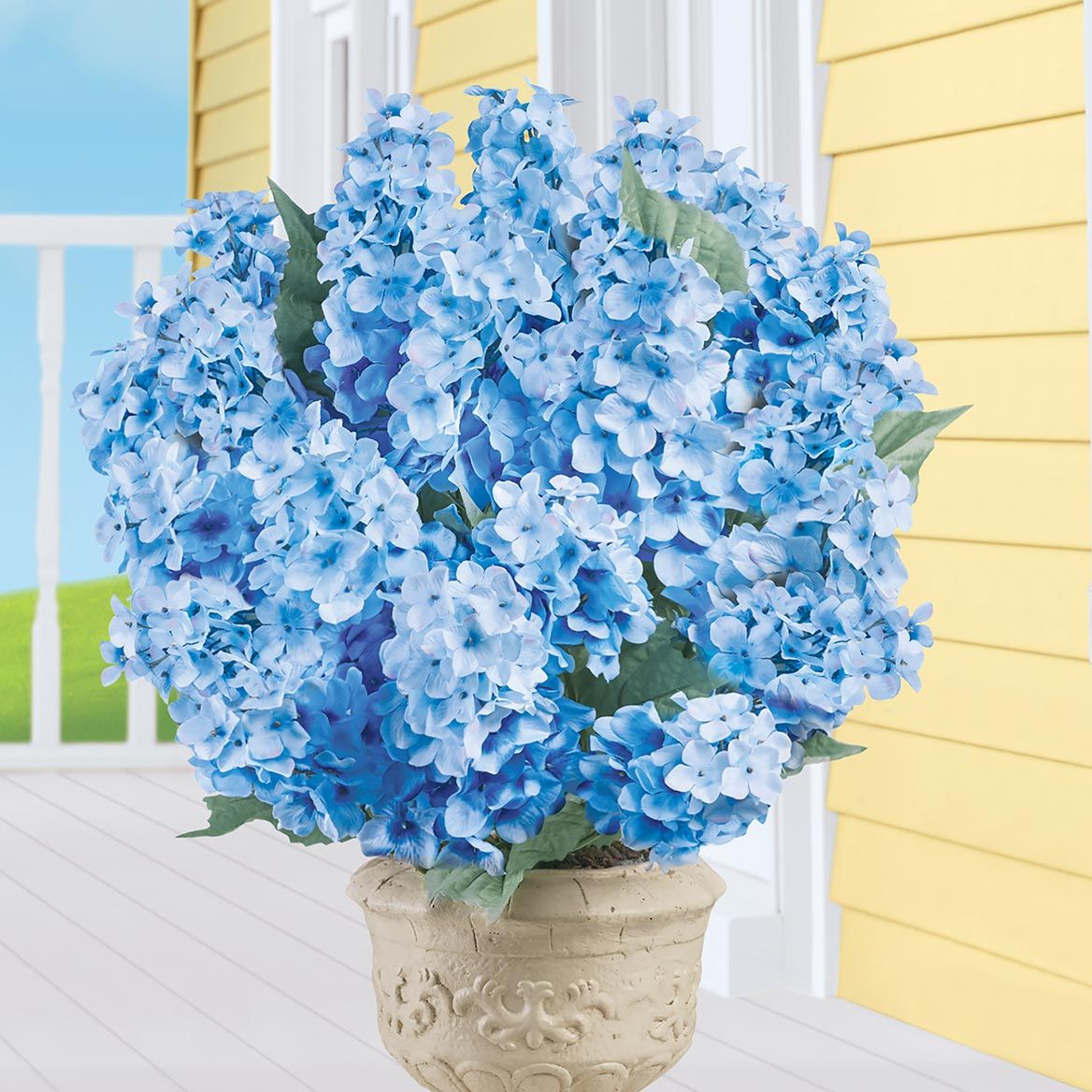 Cone Hydrangea Bushes, Set of 3 + '-' + 379753