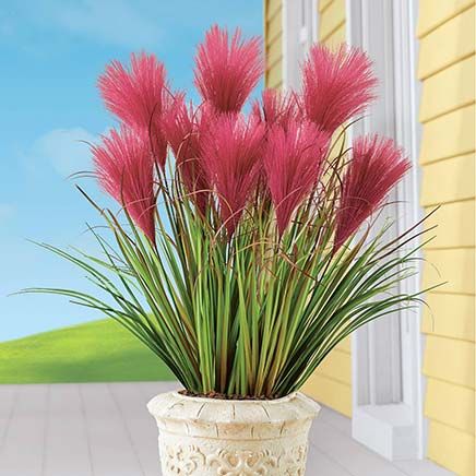 Pampas Grass Picks, Set of 3-379821