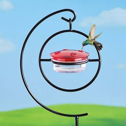 Hummingbird Feeder Stake-379844