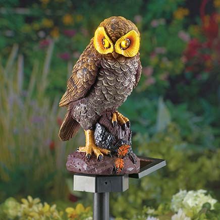 Brown Solar Hooting Owl-379977