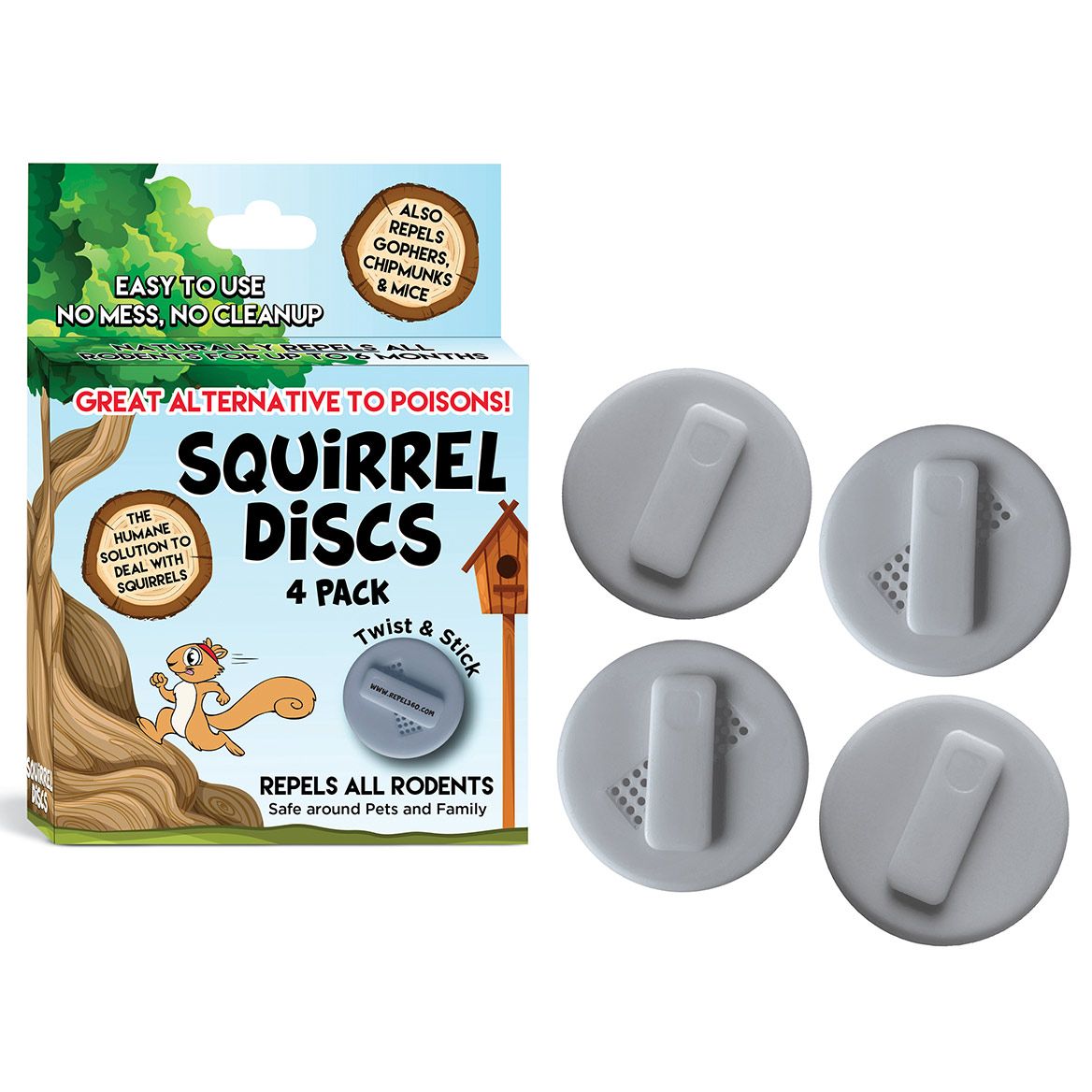 Squirrel Discs, Set of 4 + '-' + 380109