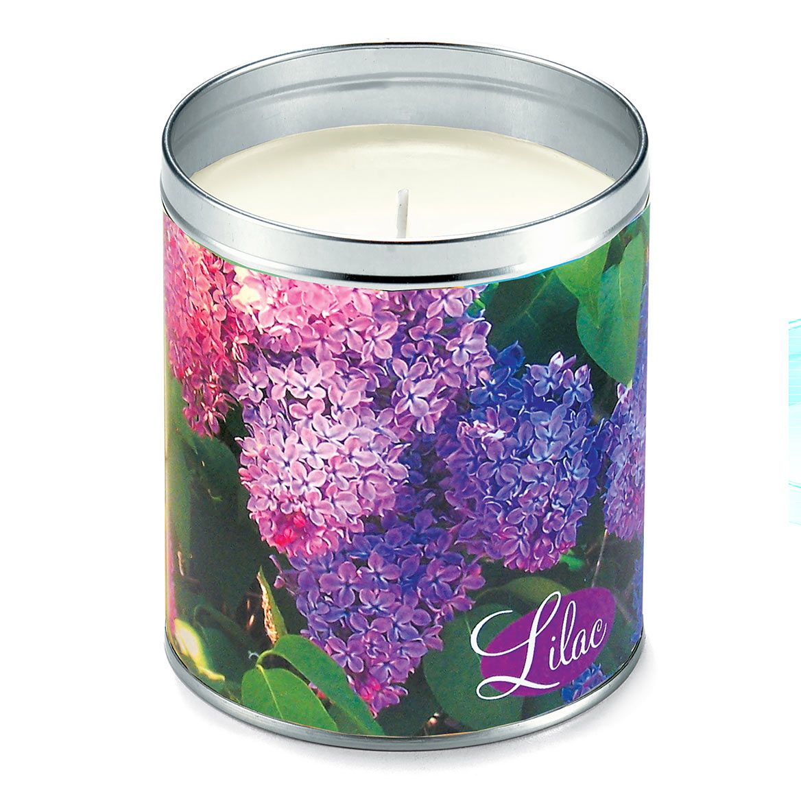 Lilac Bush Candle + '-' + 380149