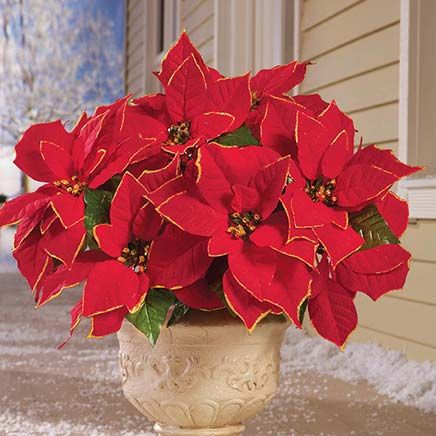Glitter Poinsettia Bushes, Set of 3-380352