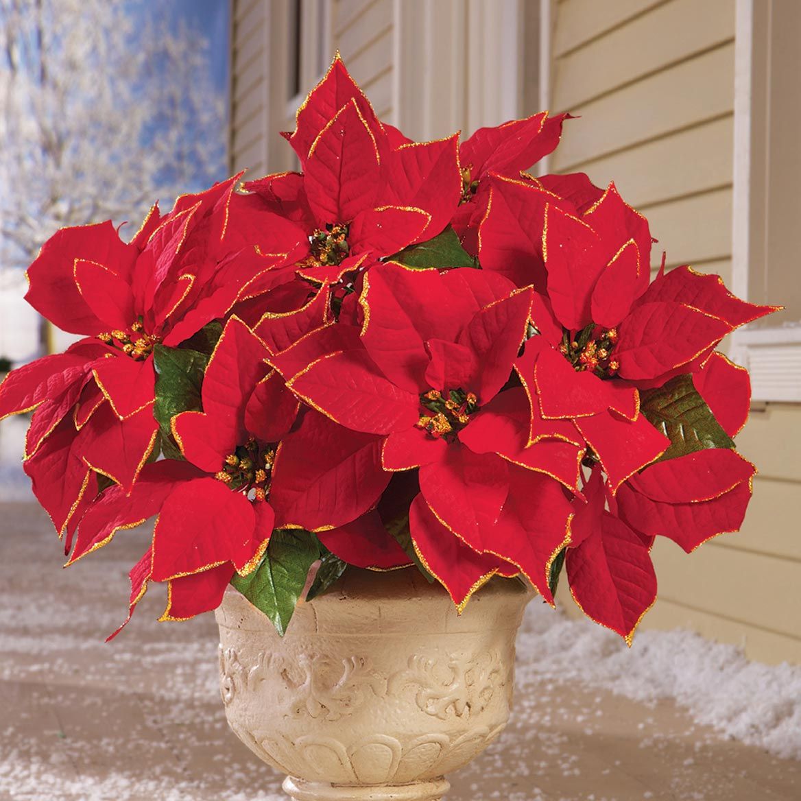 Glitter Poinsettia Bushes, Set of 3 + '-' + 380352
