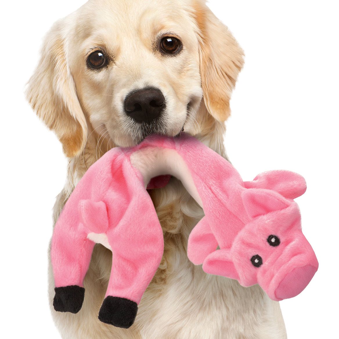 Stuffing-Free Farm Animal Dog Toys, Set of 4 + '-' + 380354