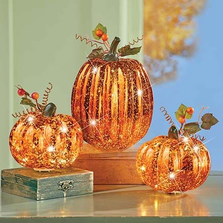Lighted Pumpkins, Set of 3-380395