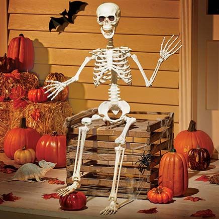 3-Ft. Posable Skeleton-380432