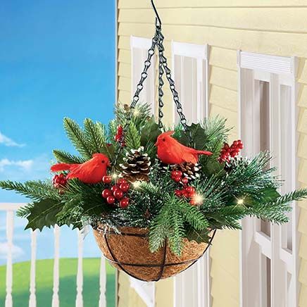 Winter Pine Hanging Basket-380584