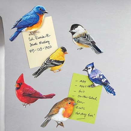 Bird Magnets, Set of 6-380634